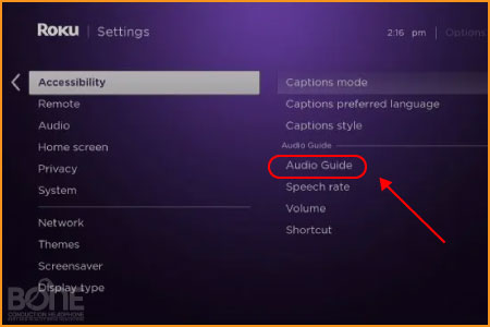 Roku tv audio guide setting
