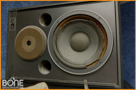 signs of blown speakers