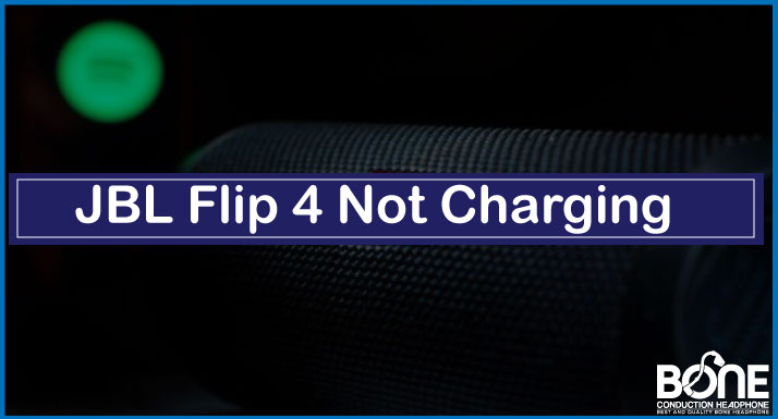 JBL Flip 4 Not Charging